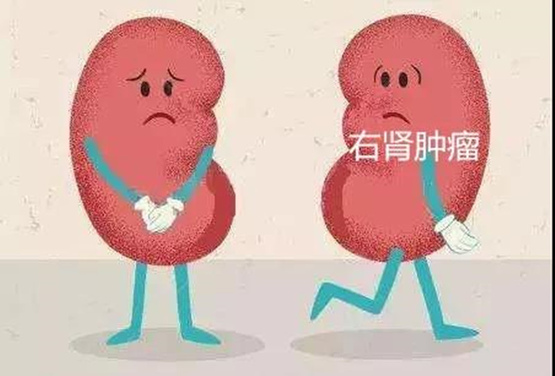 微信图片_20180612082815_副本.jpg